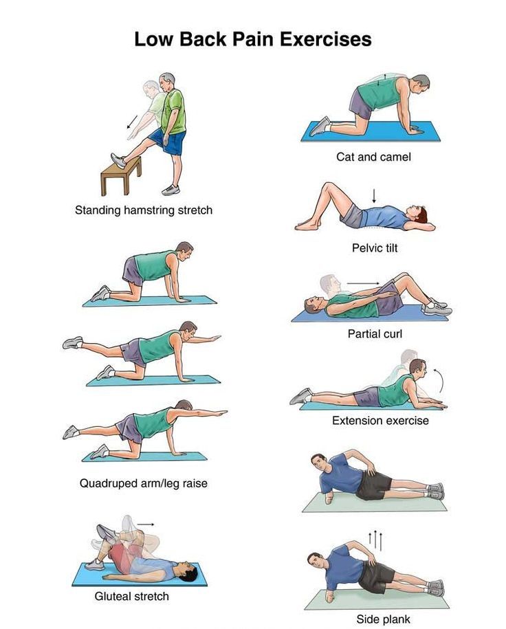 https://www.advantagechiromn.com/files/5614/1332/0102/lowBackExercises.jpg